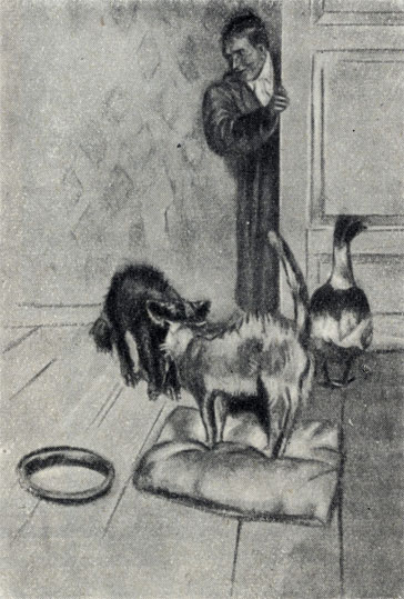 'Каштанка'. Рисунок Д. Н. Кардовского. 1903