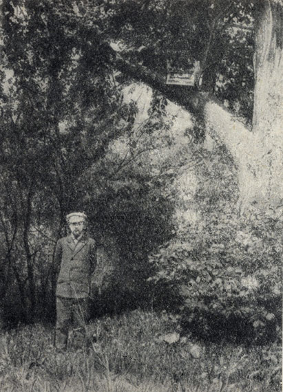 Чехов у Мамврийского дуба. Фотография. 1892