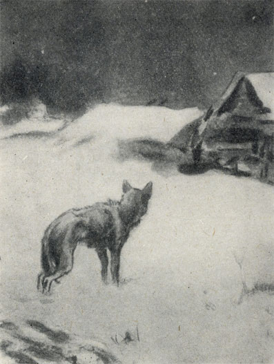 'Белолобый', Рисунок Кукрыниксов. 1954