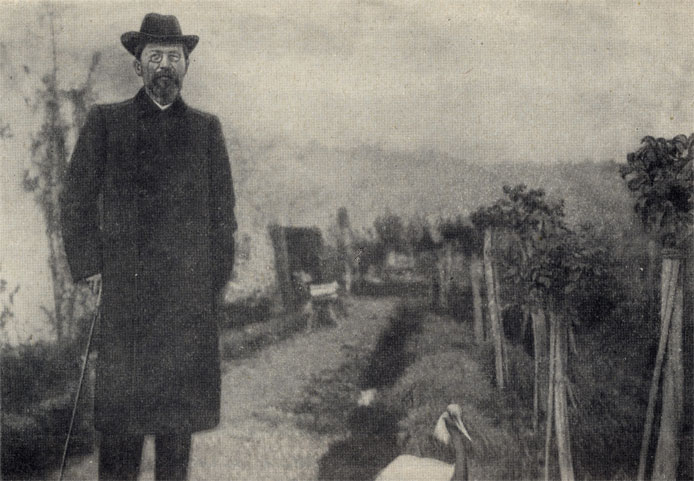 Ялта. Чехов в своем саду с ручным журавлем. Фотография. 1902