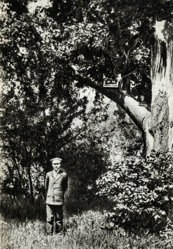 А.П. Чехов в мелиховском саду. На дереве - скворечня с шуточной надписью: 'Питейный дом'